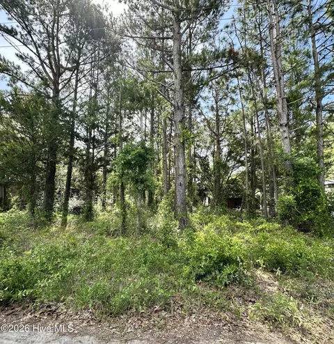 2983 Canna Pl SW, Shallotte, NC 28470