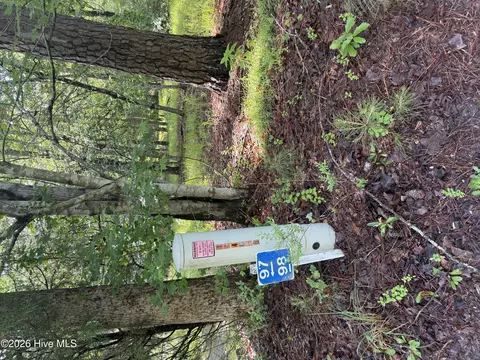 lot98 Waters Edge Dr, Chocowinity, NC 27817 photo 7