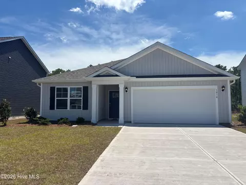 1010 Pampas Grass Dr #LOT 325, Castle Hayne, NC 28429
