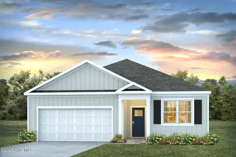 1010 Pampas Grass Dr #LOT 325, Castle Hayne, NC 28429