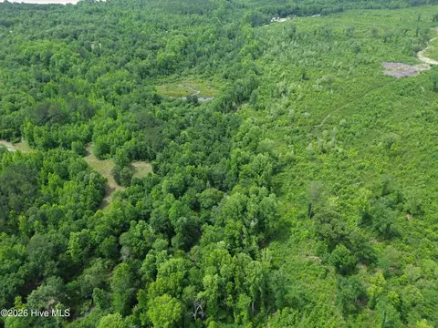 0 Pughsley Rd, Stapleton, GA 30823 photo 9
