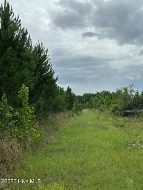 0 Pughsley Rd, Stapleton, GA 30823 photo 5