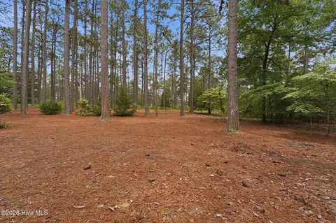 Exterior - 70 Live Oak Ln, Pinehurst, NC 28374 photo 4 of 5
