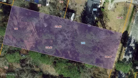 205 Nancy Dr, Dudley, NC 28333