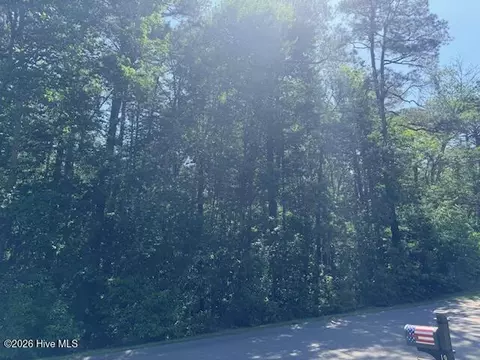 20 Timuquana Trl, Pinehurst, NC 28374