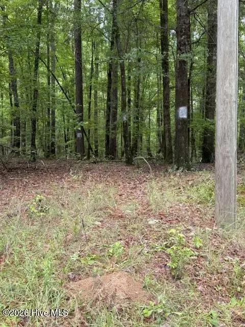 lot7 Twin Pond Rd, Sparta, GA 31087
