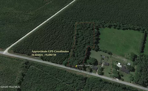 0 Shiloh Rd, Willard, NC 28478 photo 11