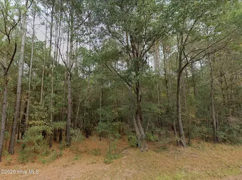 0 Shiloh Rd, Willard, NC 28478 photo 8