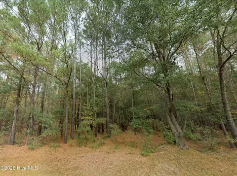 0 Shiloh Rd, Willard, NC 28478