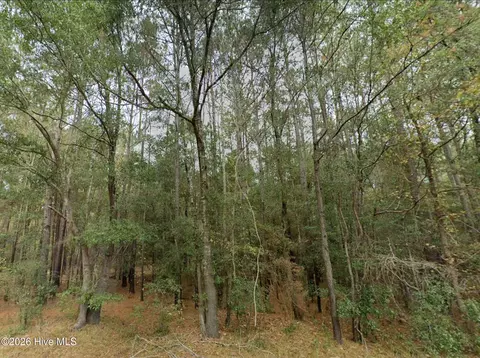0 Shiloh Rd, Willard, NC 28478 photo 6