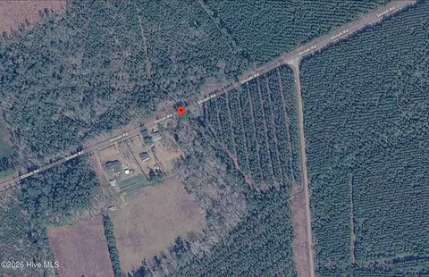 0 Shiloh Rd, Willard, NC 28478 photo 12