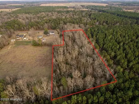 0 Shiloh Rd, Willard, NC 28478 photo 3
