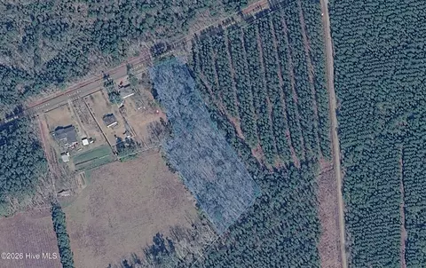 0 Shiloh Rd, Willard, NC 28478 photo 9