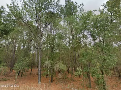 0 Shiloh Rd, Willard, NC 28478 photo 4