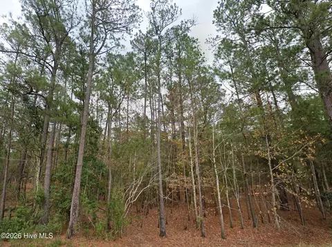 0 Shiloh Rd, Willard, NC 28478 photo 3