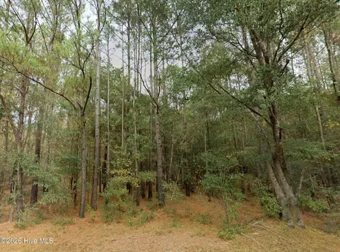 0 Shiloh Rd, Willard, NC 28478 photo 7