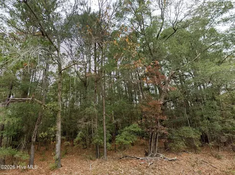 0 Shiloh Rd, Willard, NC 28478 photo 2