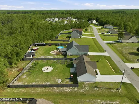 View/Area - 305 Basil Ct, Hubert, NC 28539 photo 3 of 7