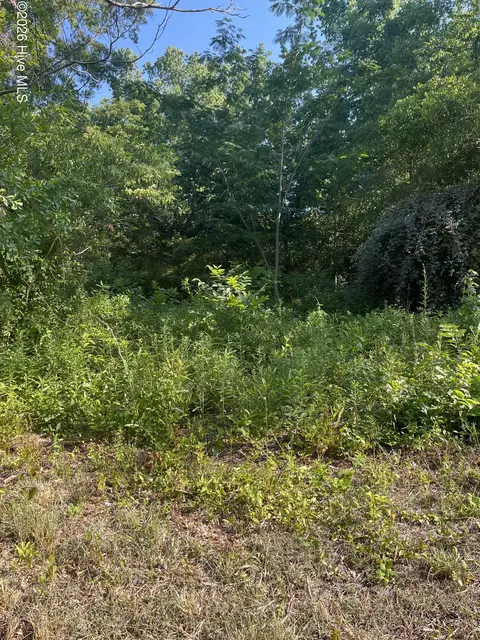 166 Douglas St, Laurinburg, NC 28352