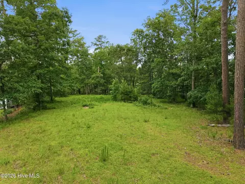 lot Apt 9 Island Dr, Chocowinity, NC 27817 photo 7