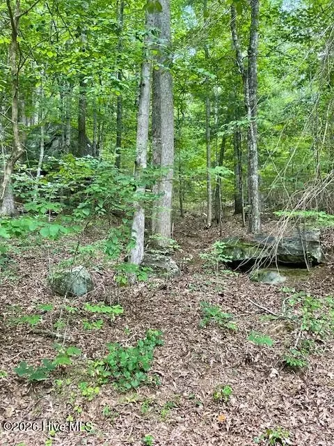 11 Lonesome Pine Rd, Murphy, NC 28906 photo 4