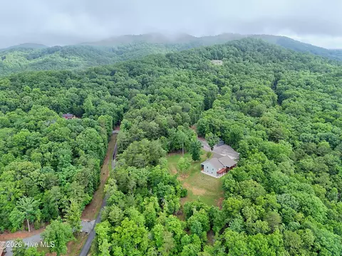 19 Pheasant Trail, Warne, NC 28909 photo 7