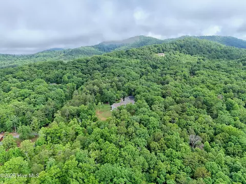 19 Pheasant Trail, Warne, NC 28909 photo 3