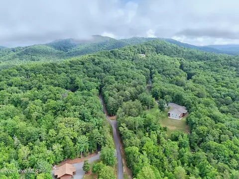 19 Pheasant Trail, Warne, NC 28909 photo 4