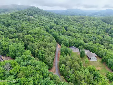 19 Pheasant Trail, Warne, NC 28909 photo 10