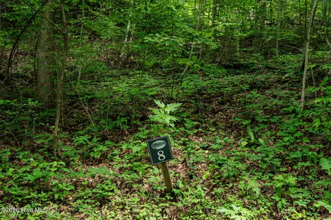 lot8 Skyview Dr, Hayesville, NC 28904