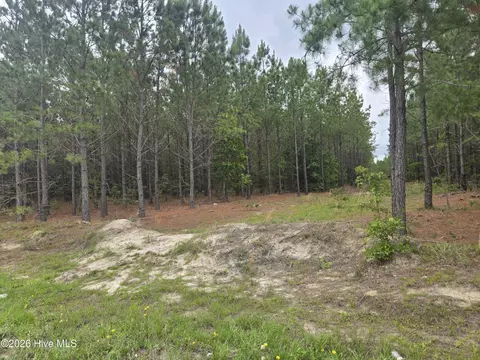 Tract 14 Belford Church Road, Jackson Springs, NC 27281