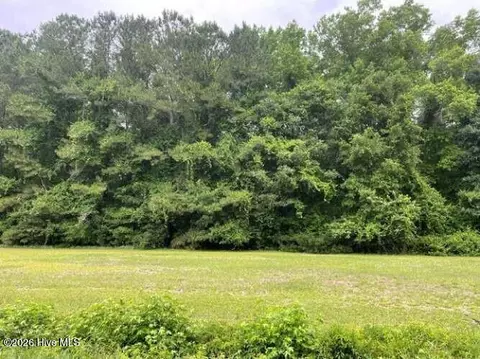 tbd Point Caswell Rd, Watha, NC 28478