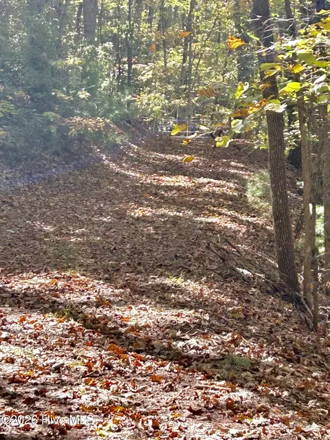 lot12 Royal Oaks Trl, Brasstown, NC 28902
