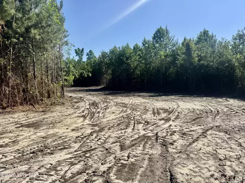 4635 Hallsboro Road North, Clarkton, NC 28433 photo 3