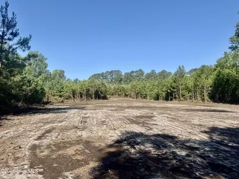 4635 Hallsboro Road North, Clarkton, NC 28433