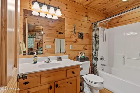 Bath - 383 Hy Cobb Dr, Murphy, NC 28906 photo 3 of 7