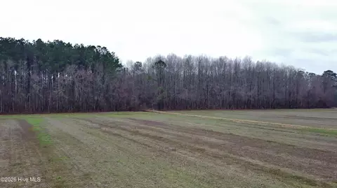 269 Creek Rd, Bath, NC 27808 photo 9