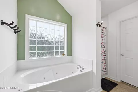Bath - 209 Middle Ridge Dr, Hubert, NC 28539 photo 3 of 5