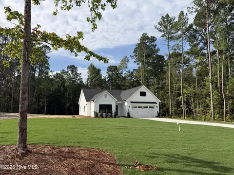 41 Peach Ct, Burgaw, NC 28425