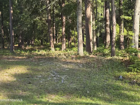 3840 Timber Stream Dr, Southport, NC 28461