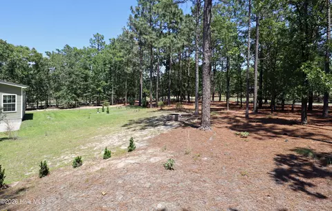 Exterior - 39 Forest Lake Dr, Jackson Springs, NC 27281 photo 6 of 7