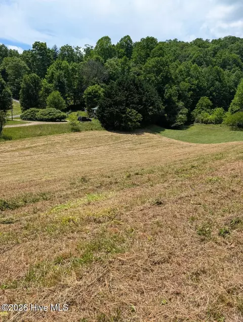 1 Henry Moss Ln, Marble, NC 28905