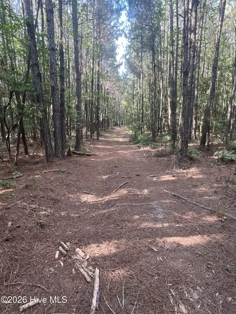2364 Nc 102 E, Ayden, NC 28513 photo 24