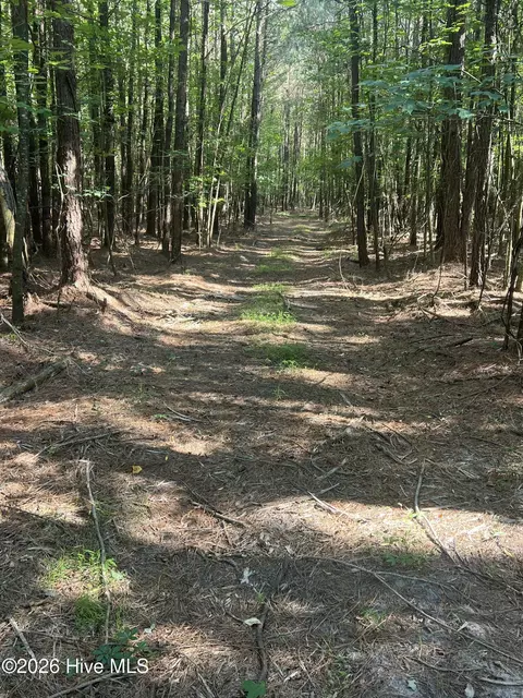 2364 Nc 102 E, Ayden, NC 28513 photo 19
