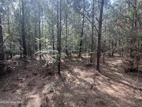 2364 Nc 102 E, Ayden, NC 28513 photo 15