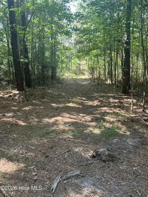 2364 Nc 102 E, Ayden, NC 28513 photo 18