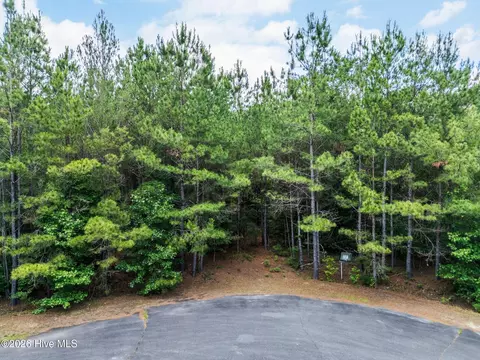 129 Dodge Ln, Wallace, NC 28466 photo 13