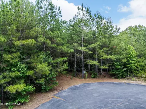 129 Dodge Ln, Wallace, NC 28466 photo 12