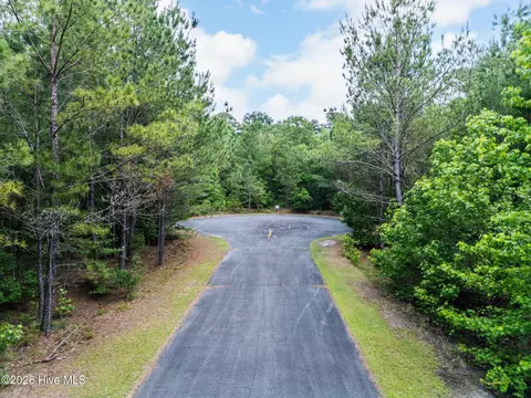 129 Dodge Ln, Wallace, NC 28466 photo 7
