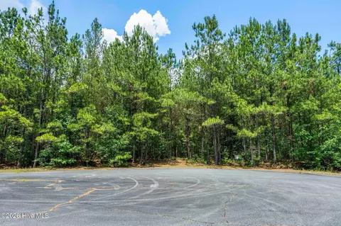 129 Dodge Ln, Wallace, NC 28466 photo 10